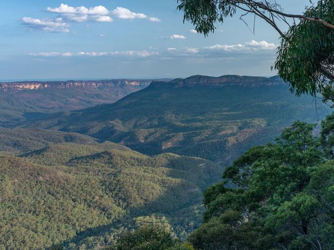 Blue Mountains after the fires. Picture: Jay Evans