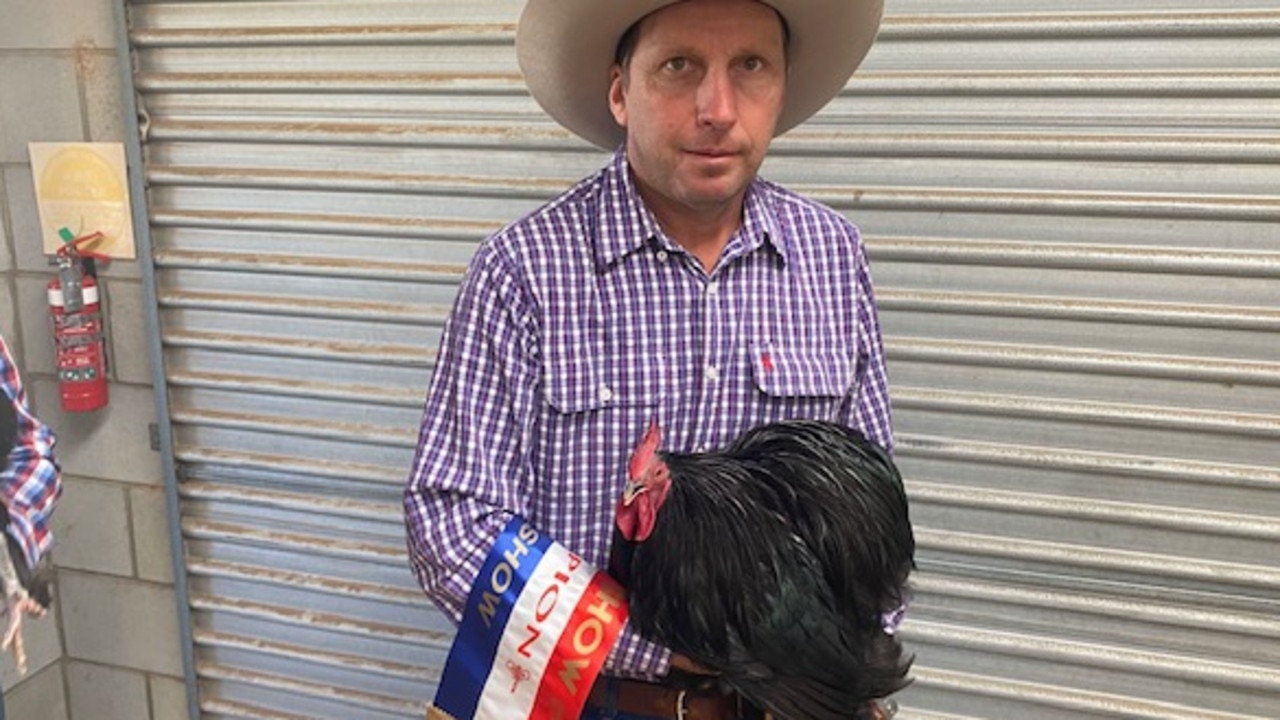 BEST IN SHOW: Bantam Softfeather, presented by president of the Poultry Club Curtis Sutton