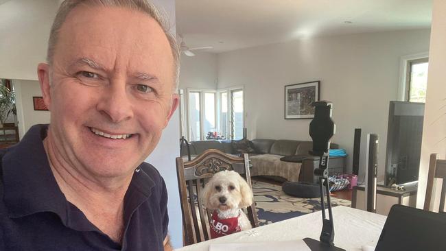 Anthony Albanese spent the week in isolation. Picture: Facebook