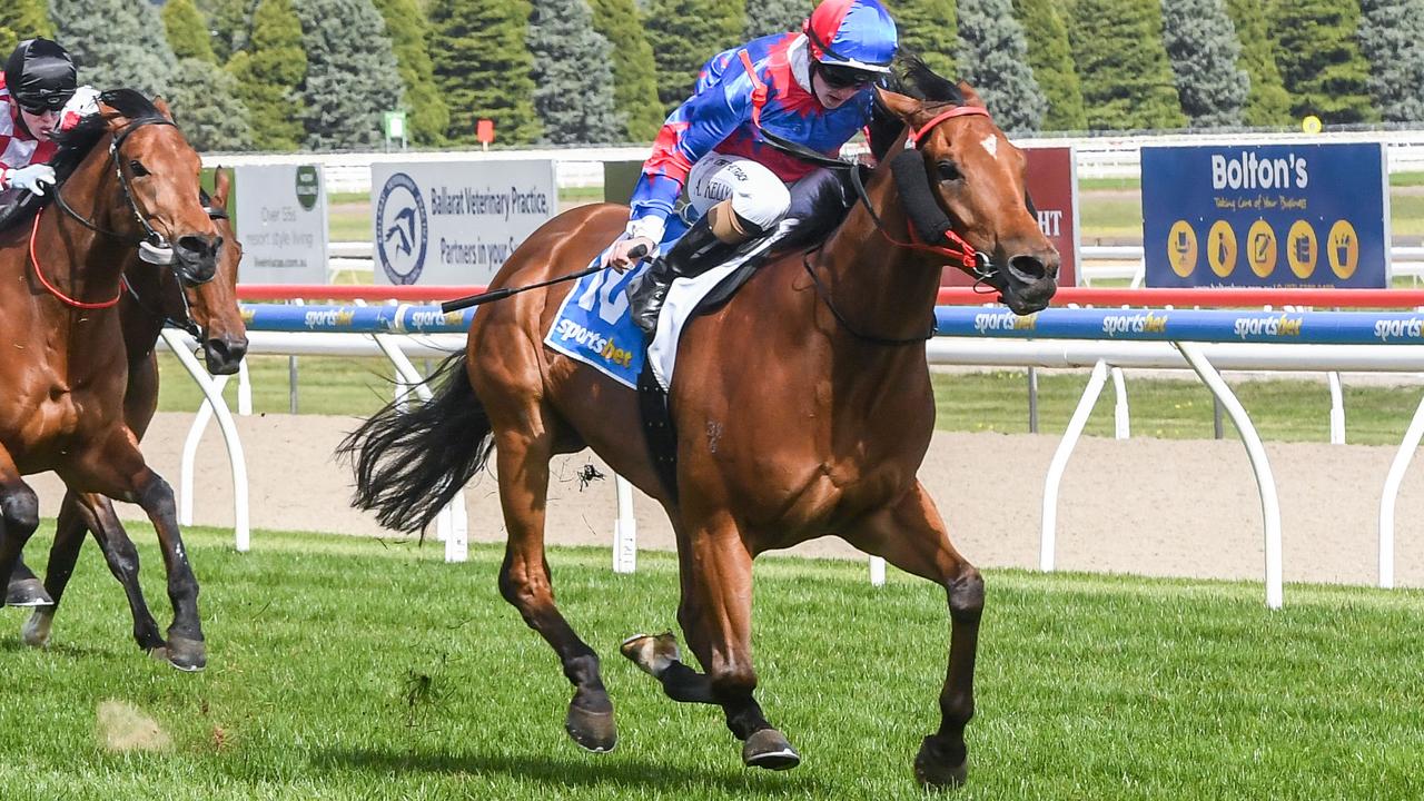 Just Jake will attempt to give 78-year-old Kilmore trainer Hanna Powell her first city winner when he tackles a Benchmark 78 race at Caulfield on Saturday. Picture : Racing Photos via Getty Images.