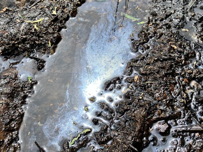 Oil on the shore of Lake Rosebery. Picture: Supplied