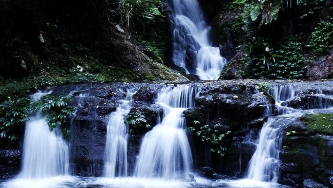 The lush elegance of Elabana Falls, Lamington National Park. Picture: Peta Murray