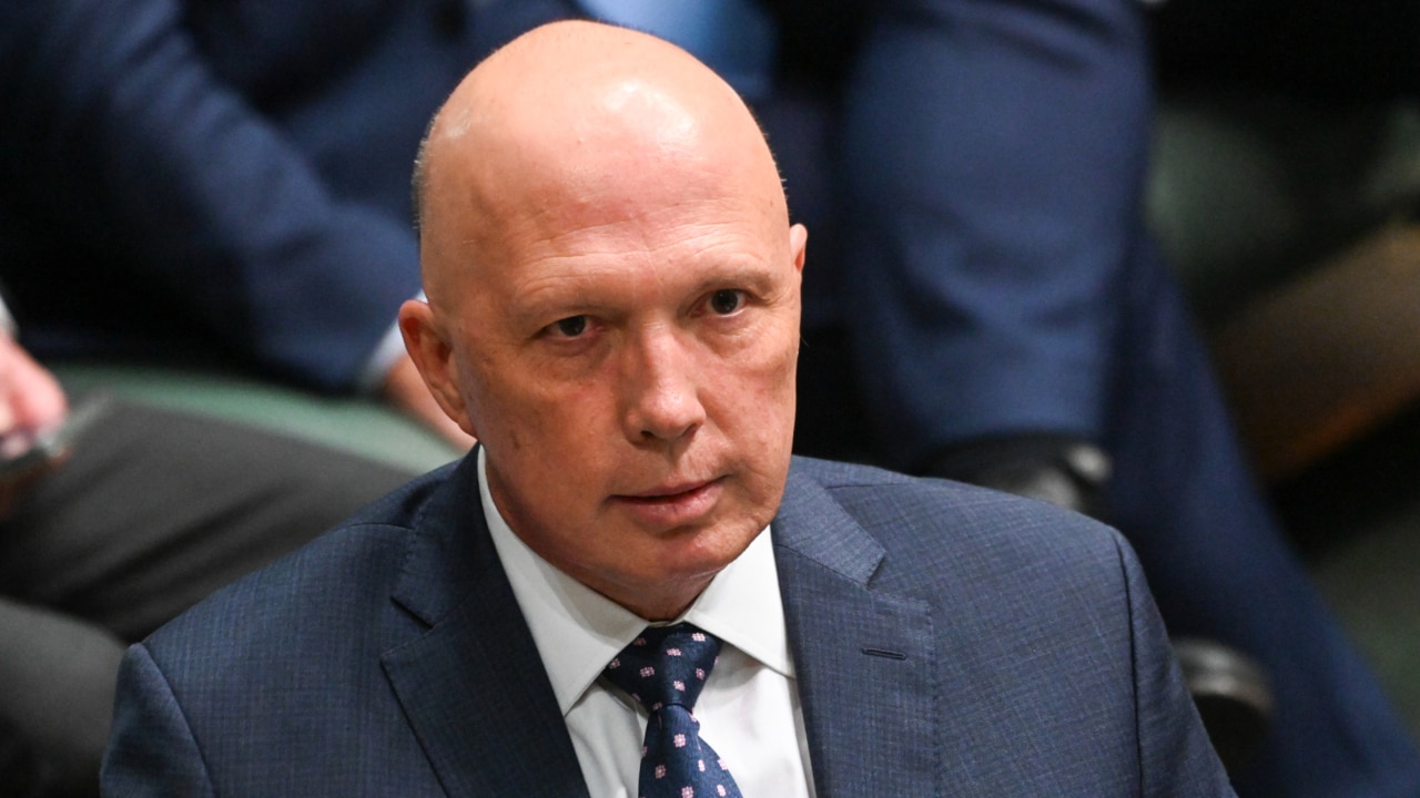 Peter Dutton ‘living rent-free’ in Labor's heads