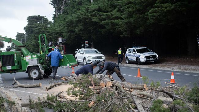 Strong winds hit Melbourne, as a large tree fell and blocked Reserve Rd Beaumaris. Picture: NewsWire / Nicki Connolly