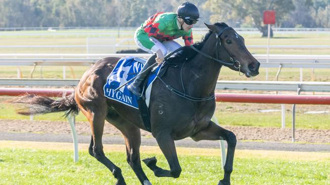 Glenfinnan is a top chance to start his latest campaign with a win at Pakenham on Friday night. Picture: Racing Photos via Getty Images.