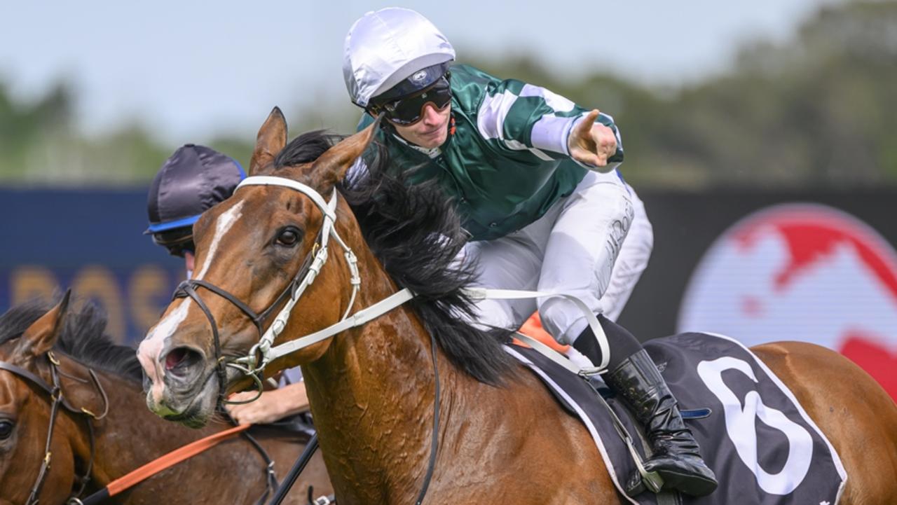 2024 Queen Elizabeth Stakes: Via Sistina ‘surprised’ Chris Waller In ...