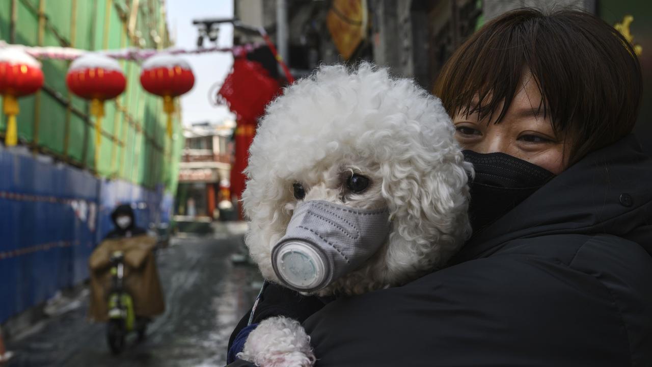 A Chinese woman holds her dog that is wearing a protective mask as well as they stand in the street. Picture: Kevin Frayer/Getty Images