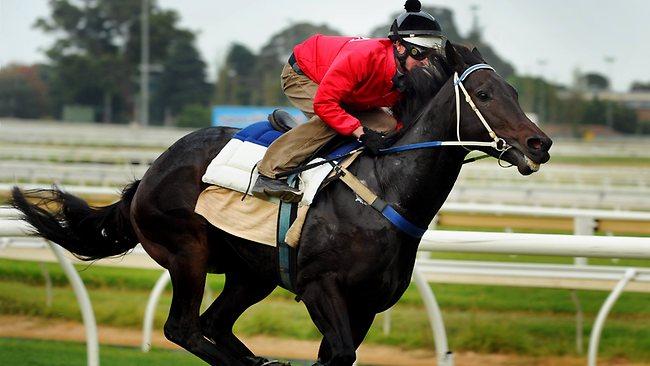 patrocínio são paulo sportsbet