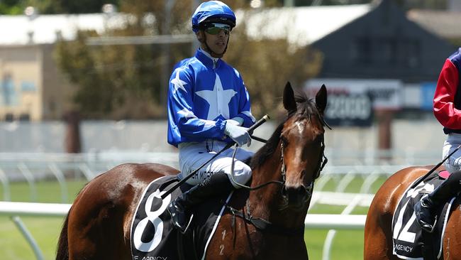 SYDNEY, AUSTRALIA - JANUARY 25: Zac Lloyd riding Open Secret   win Race 1 The Agency Real Estate Handicap during Sydney Racing at Royal Randwick Racecourse on January 25, 2025 in Sydney, Australia. (Photo by Jeremy Ng/Getty Images)