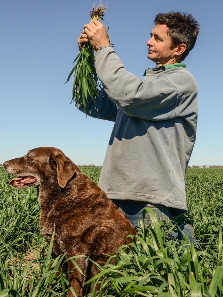 Mr Buchanan on the family property before the drought took hold. Picture: Shanna K Whan Photography.