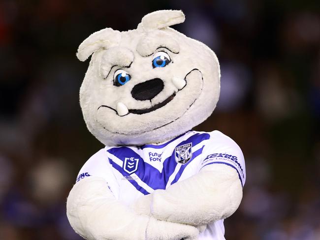 SYDNEY, AUSTRALIA - FEBRUARY 23: Bulldogs mascot during the NRL Pre-season challenge match between Cronulla Sharks and Canterbury Bulldogs at Belmore Sports Ground on February 23, 2024 in Sydney, Australia. (Photo by Jason McCawley/Getty Images)