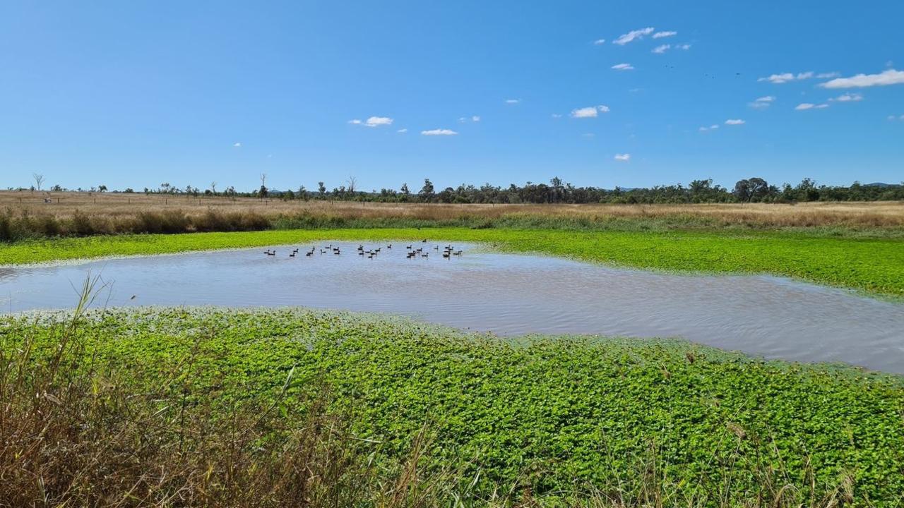 There are three large dams on the property and semi-permanent holes in the creek. Picture: Contributed
