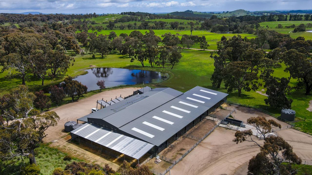 Premier Victorian sheep farm snapped up