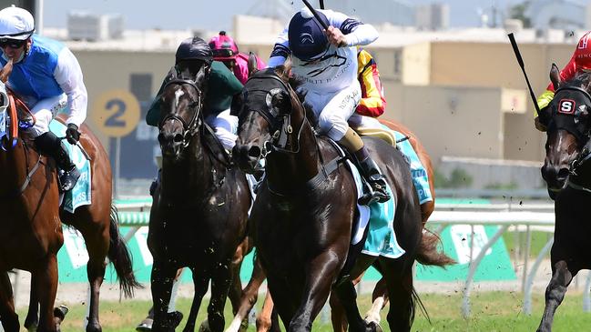 Jonker takes out the Magic Millions Snippets. Picture: Trackside Photography