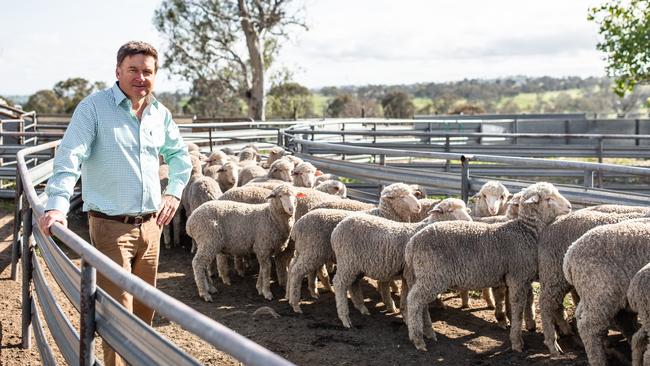 WoolProducers Australia president Ed Storey stressed the importance of voting for levy paying wool growers.