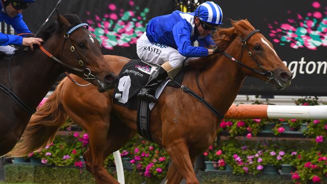 Nomothaj has strong form at Flemington and will be cherry ripe for the Schweppes Flemington Fling. Picture: Getty Images