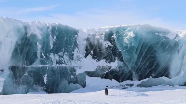 Picture of a jade iceberg with an emperor penguin taken by expeditioner Todd Heery 100 kilometres west of Mawson Station. Picture: TODD HEERY/AUSTRALIAN ANTARCTIC DIVISION