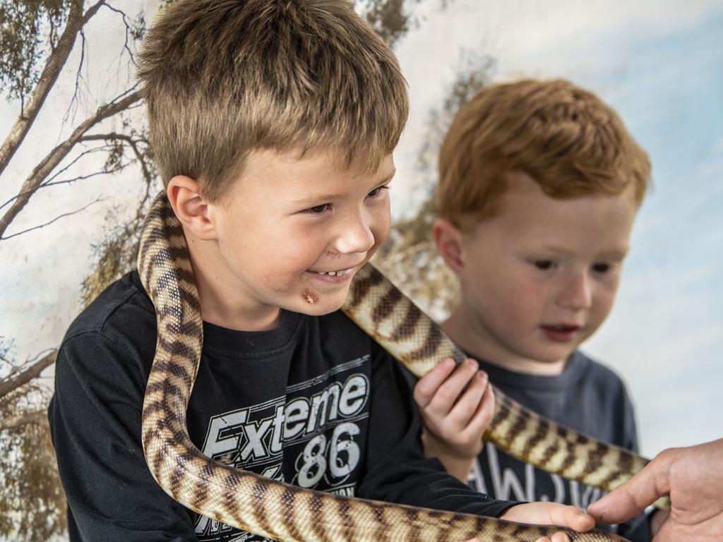 Riley and Jack Bland meet snakes up close at Reptile Kingdom Australia on day 3 of the Toowoomba Royal Show. Sunday, March 27, 2022. Picture: Nev Madsen.