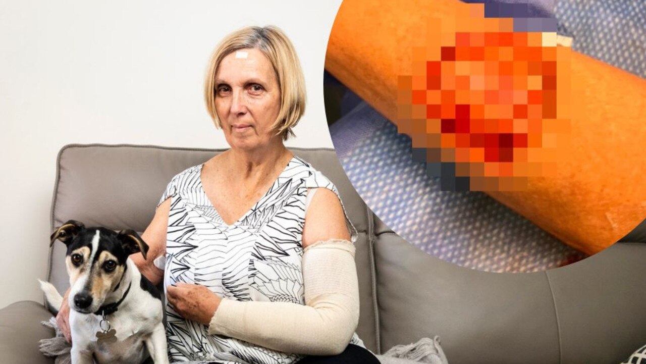 Toowoomba woman Vyvyan Glover with Kemba the jack russell.