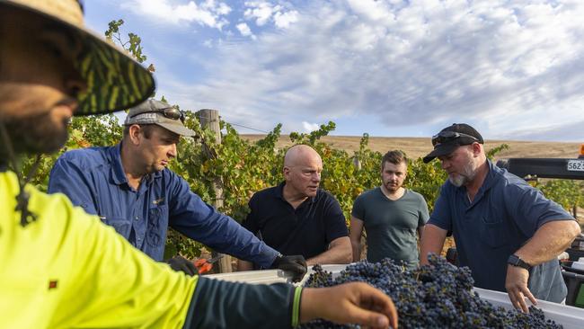 Vintage 2019 at Grosset Wines, Clare Valley. Picture: Ben MacMahon