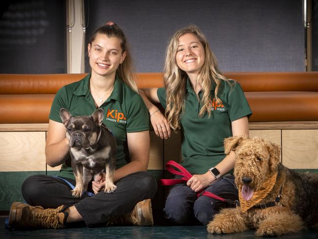 Kip Doggy Daycare Centre workers Georgana Coles French bulldog Coco and Siena Withey with her dog Wilber, an Airedale terrier. Picture Emma Brasier.