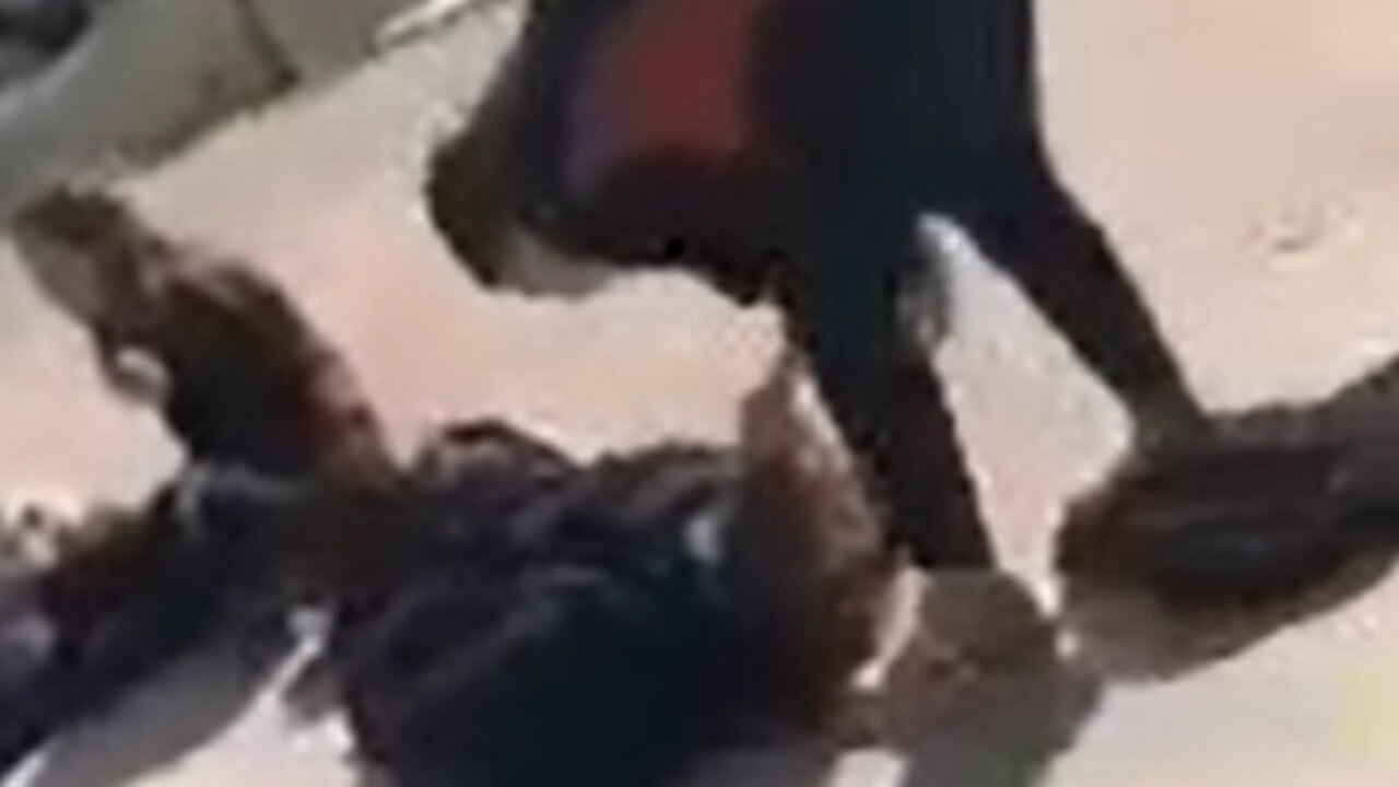 An alleged attack played out in front of stunned students at Whyalla Secondary College. Picture: 7NEWS