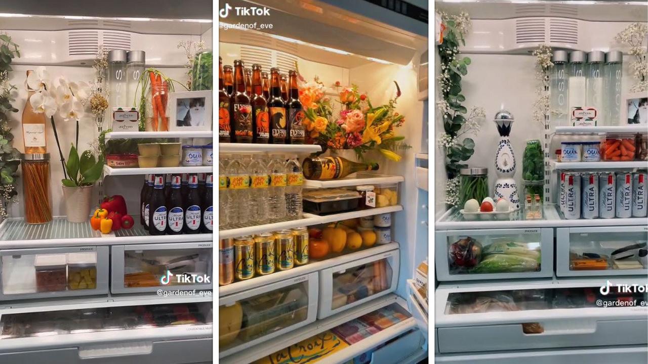 Organize Your Fridge Like the Viral TikTok Videos: What You'll