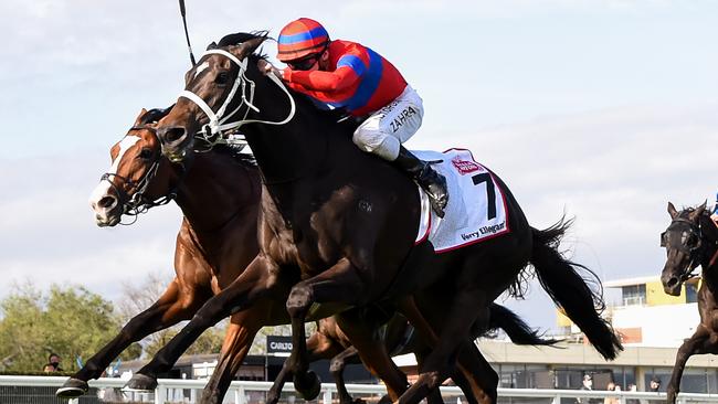 Verry Elleegant edged out Anthony Van Dyck to win the Caulfield Cup. Picture: Getty Images