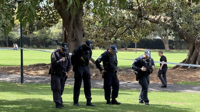 Police search the Domain parklands after a man apparently let off replica gun on Thursday.