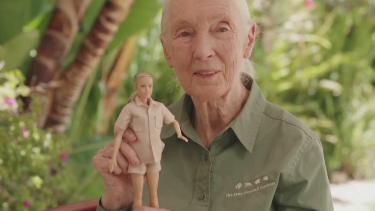 jane goodall barbie doll