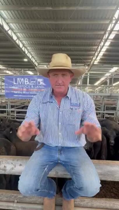 Hamilton weaner sale wrap up