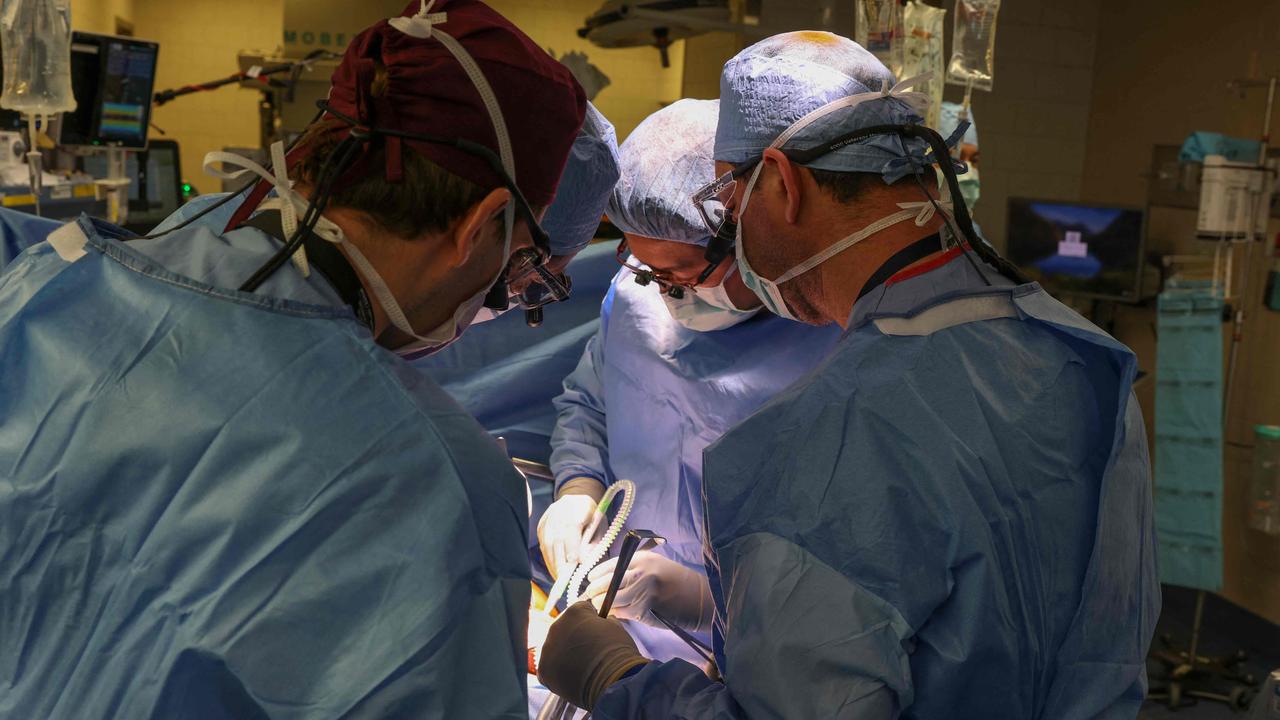 A team of surgeons have successfully transplanted a pig kidney into a living patient for the first time. The four-hour-long operation was carried out on March 16 on a 62-year-old man suffering from end-stage kidney disease. Picture: Michelle Rose/ Massachusetts General Hospital/AFP