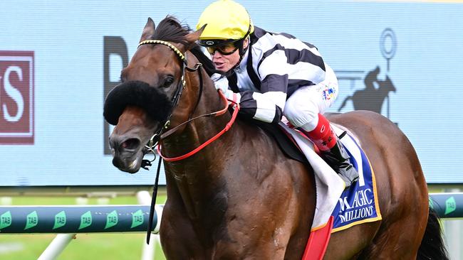 Barassi wins the rich Magic Millions Maidens Plate for trainers Trent and Toby Edmonds and jockey Craig Williams. Picture: Grant Peters, Trackside Photography.