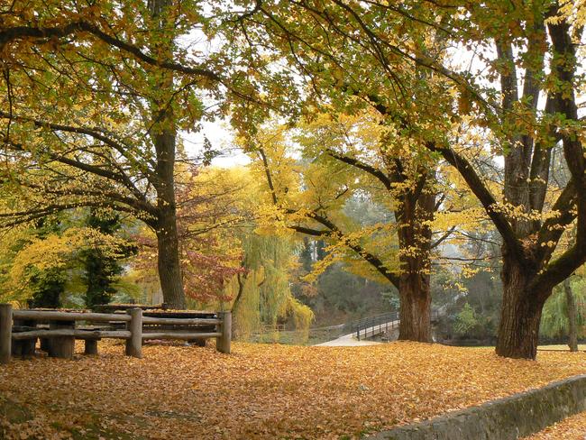 Bright’s Centenary Park is ablaze with colour come autumn. Picture: Northeast Tourism