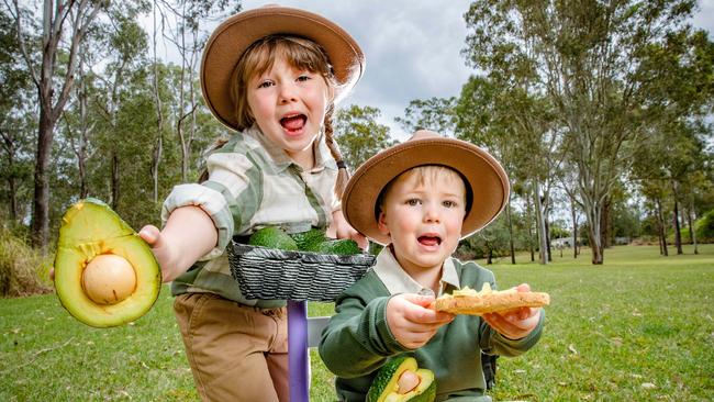 Paine Schwartz Partners has slashed the value of its takeover bid for Australia’s leading fruit and vegetable grower and packer Costa Group by $100m. Picture: Richard Walker