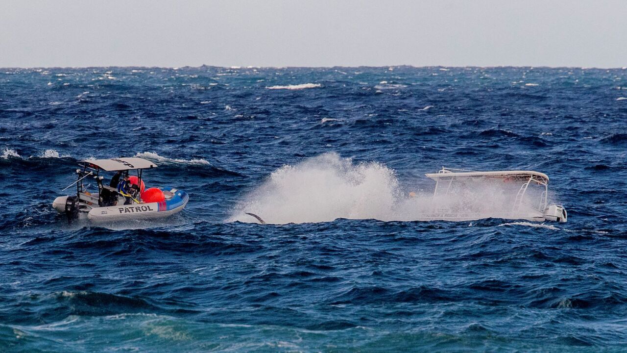 Whale rescue in Queensland resumes