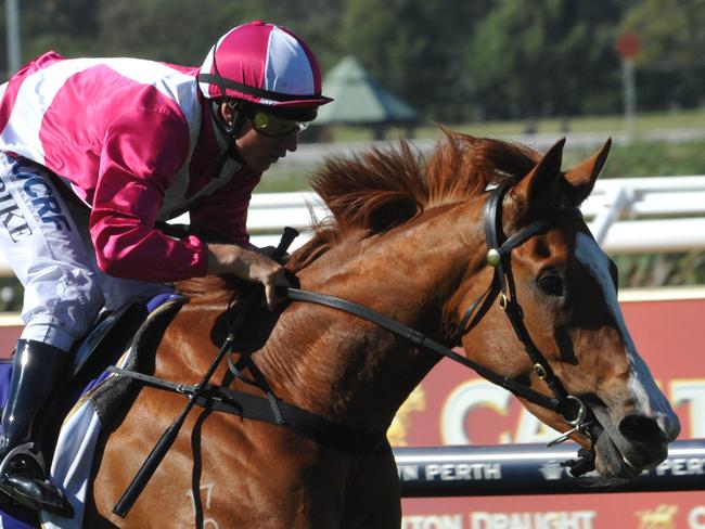 Ascot Races 6.12.2014 race 7 Real Love ridden by William Pike wins.