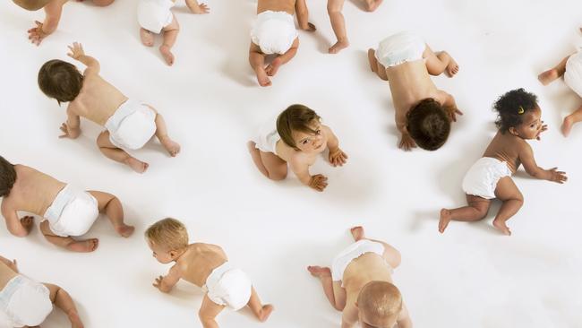 Group of multiethnic babies crawling isolated on white background