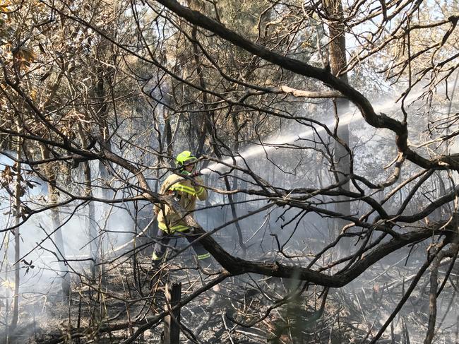 There has not been a fire around Dee Why Lagoon since September 27. Picture: Manly Daily