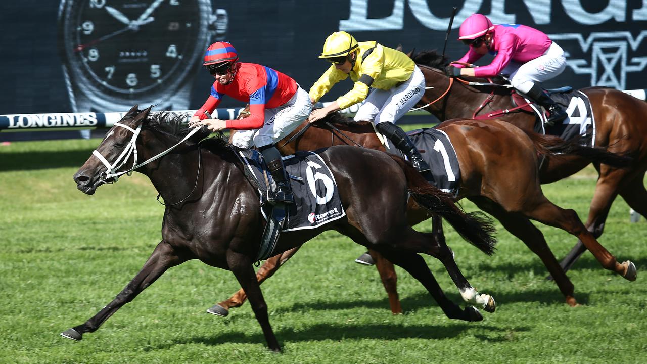 Sydney Racing: Golden Slipper Day