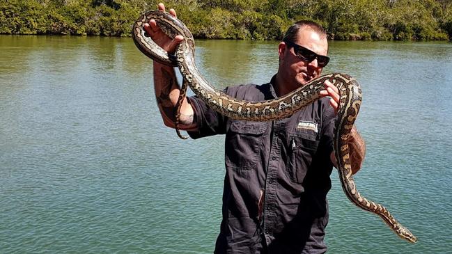 Steven Brown with a non-venomous carpet python. The property owners had seen it hanging around for days and called him out after they went out to water a pot plant and saw it curled up.