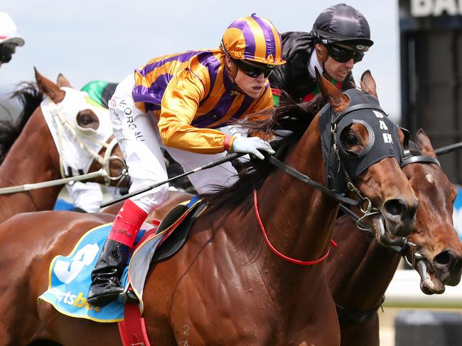 BALLARAT, AUSTRALIA - NOVEMBER 23: Jockey Craig Williams riding Creedence wins Race 3, Global Turf Handicap during Melbourne Racing at Ballarat Turf Club on November 23, 2019 in Ballarat, Australia. (Photo by George Salpigtidis/Getty Images)