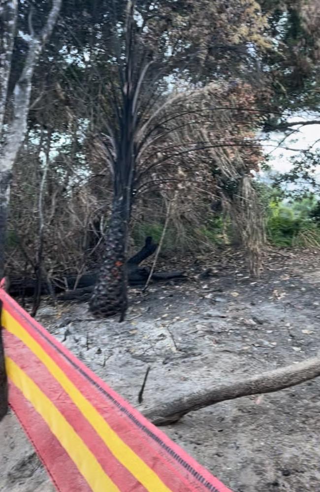 Vandals set fire to the viewing platform at the Pitt St entrance to Blacks Beach. Picture: Rae Wilson