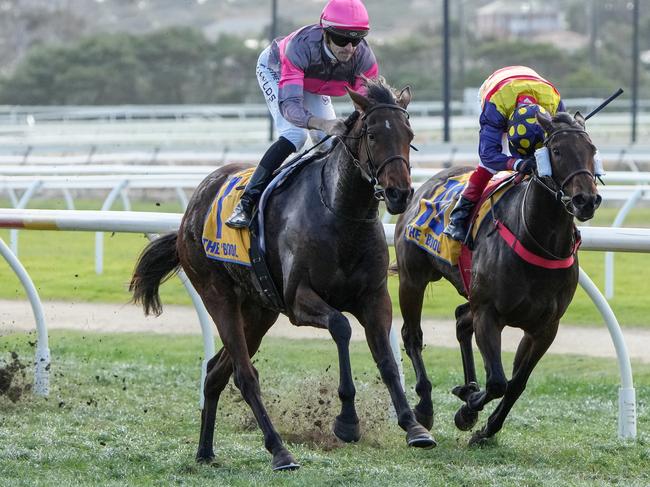 Precious Charm ridden by Jordan Childs wins the J Catanach DFC Memorial Fillies and Mares BM70 Handicap at Warrnambool Racecourse on May 02, 2024 in Warrnambool, Australia. (Photo by George Sal/Racing Photos via Getty Images)