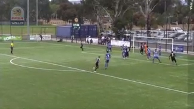 NPL SA Round 5 goals of the week