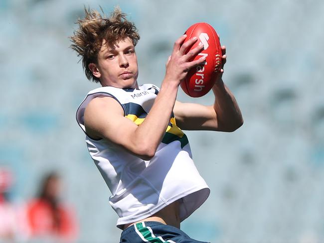 Liam Hetherton takes a mark. Picture: Daniel Pockett/AFL Photos/via Getty Images