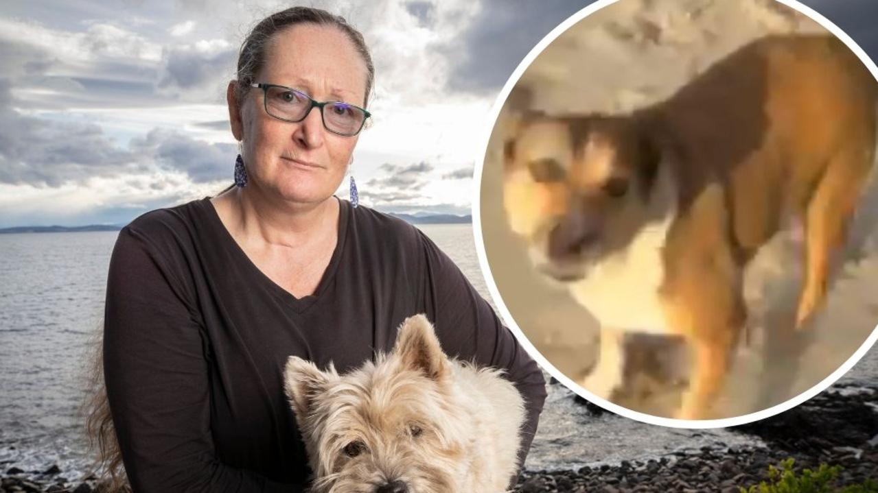 Kobieta woła o pomoc podczas brutalnego ataku psa