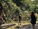 A tree has fallen on the Kuranda Range, closing the road in both directions. The road block occurred near the Henry Ross Lookout on the Kennedy Highway at MacAlistair Range.