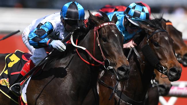 Jockey Craig Williams and Amphitrite storm to victory in the Thousand Guineas. Picture: AAP