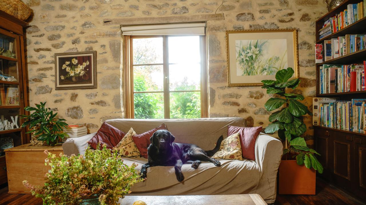 The lounge, also known as Pearl the dog’s bedroom. Photo: Nick Clayton.